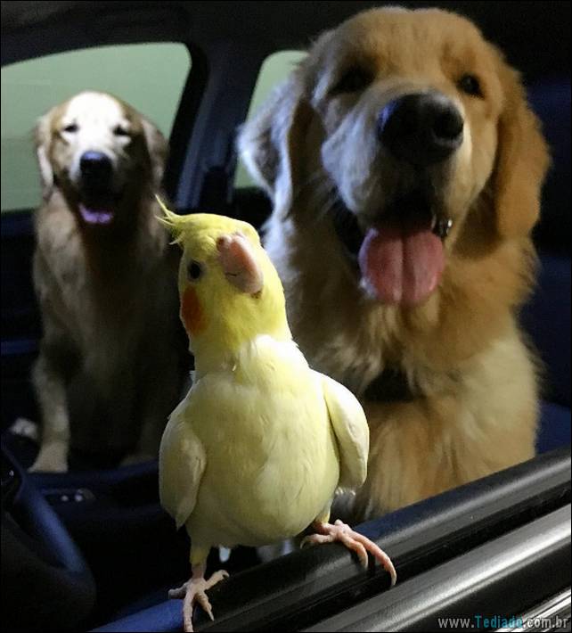 amigos - tipo de amigos 13 - 13 tipos de amigos que todo mundo tem - foto tipo-de-amigos-13 amigos - tipo de amigos 13 - 13 tipos de amigos que todo mundo tem