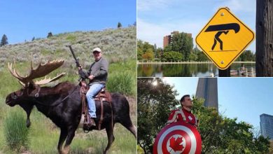 Coisas que você só vai ver no Canadá (20 fotos) 19