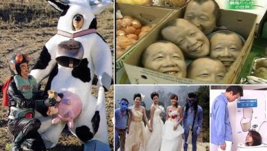16 coisas bizarras que você só pode ver na Ásia 6