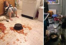 Os piores momentos em cozinhar (32 fotos) 8