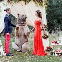 Casal russo convida urso para carregar alianças durante casamento T-Links #265 – Links da semana - semana tlink-05 T-Links #265 – Links da semana