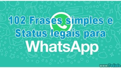 102 Frases simples e Status legais para whatsapp 6