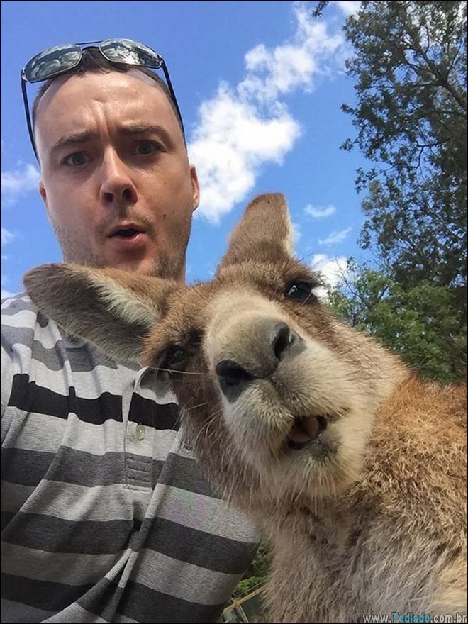26 Selfies de animais que o farão sorrir 8