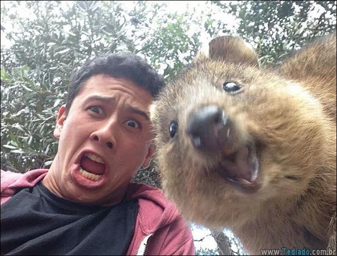 26 Selfies de animais que o farão sorrir 18