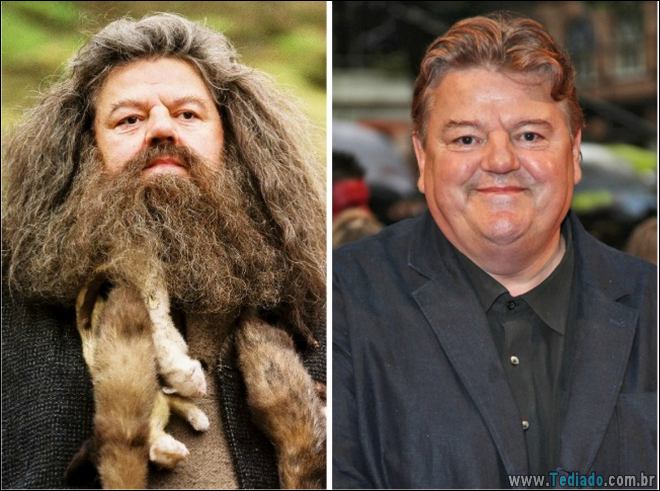 Um olhar fascinante nas estrelas de Harry Potter 16 anos depois - harry potter Um olhar fascinante nas estrelas de Harry Potter 16 anos depois