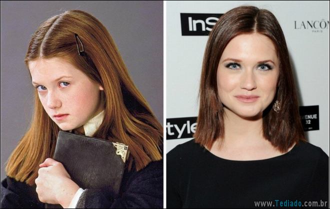 Um olhar fascinante nas estrelas de Harry Potter 16 anos depois 8