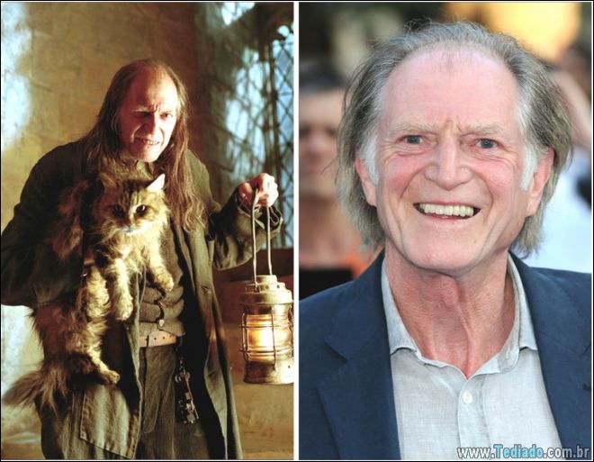 Um olhar fascinante nas estrelas de Harry Potter 16 anos depois - harry potter Um olhar fascinante nas estrelas de Harry Potter 16 anos depois