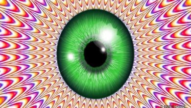 10 ilusões ópticas que vão bagunçar com seu cérebro 21