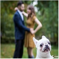 15 vezes qie os cães conseguiram arruinar fotos perfeitas T-Links #294 – Links da semana - tlink 05 T-Links #294 – Links da semana - tlink 05