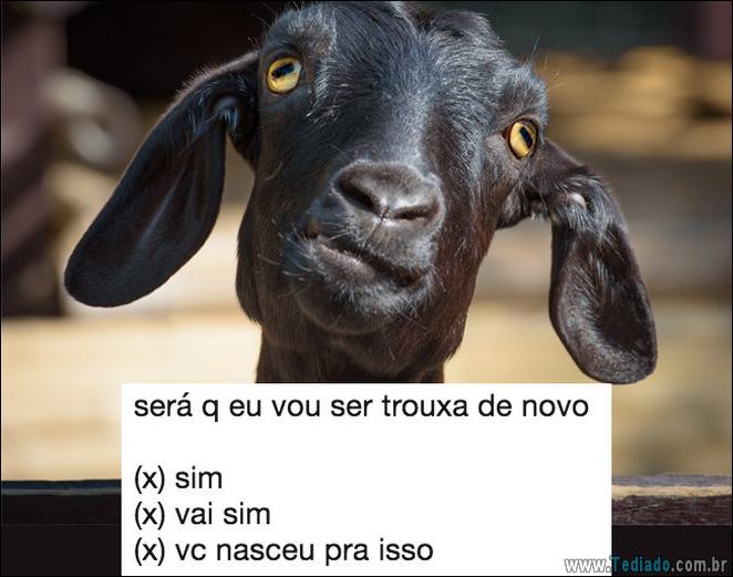 16 pessoas mais trouxas do Brasil - 16 pessoas mais troxas do brasil 05 16 pessoas mais trouxas do Brasil - 16 pessoas mais troxas do brasil 05