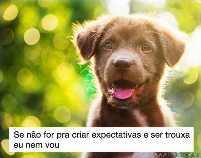 16 pessoas mais trouxas do Brasil - 16 pessoas mais troxas do brasil 10 16 pessoas mais trouxas do Brasil - 16 pessoas mais troxas do brasil 10