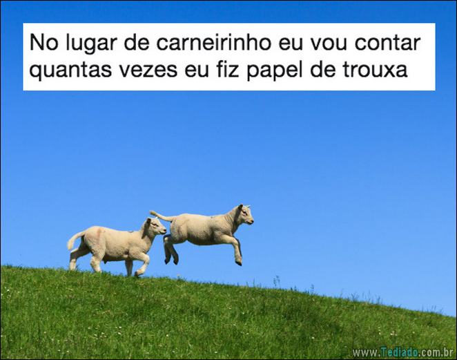 16 pessoas mais trouxas do Brasil - 16 pessoas mais troxas do brasil 12 16 pessoas mais trouxas do Brasil - 16 pessoas mais troxas do brasil 12
