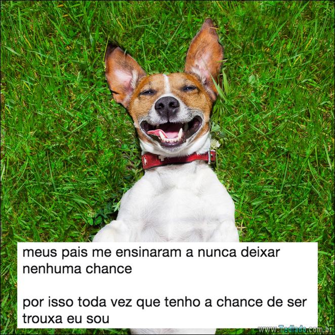 16 pessoas mais trouxas do Brasil - 16 pessoas mais troxas do brasil 13 16 pessoas mais trouxas do Brasil - 16 pessoas mais troxas do brasil 13