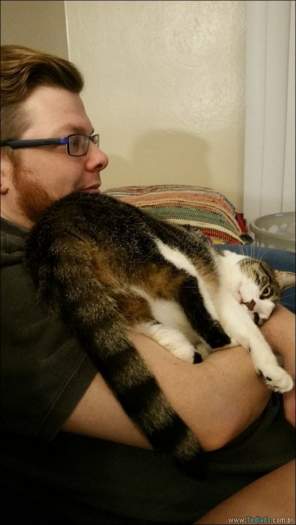 15 gatos e cães que não deixa seus seres humanos sozinhos - animais de estimação 15 gatos e cães que não deixa seus seres humanos sozinhos