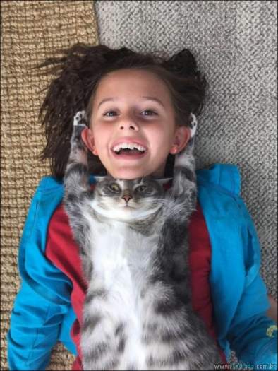 15 gatos e cães que não deixa seus seres humanos sozinhos - animais de estimação 15 gatos e cães que não deixa seus seres humanos sozinhos