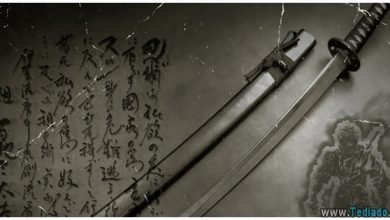 25 sabedoria dos samurais 6