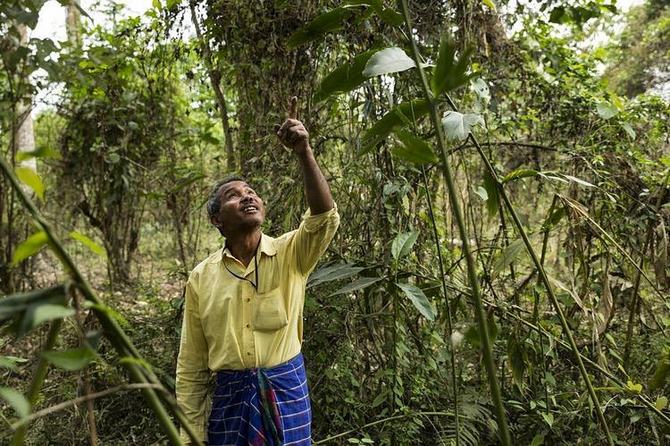 11 fotos sobre a força do espírito humano - força