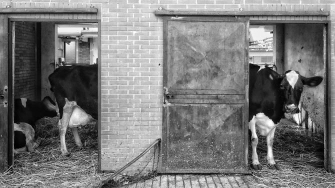 26 fotos incríveis que certamente vão bugar o seu cérebro 6