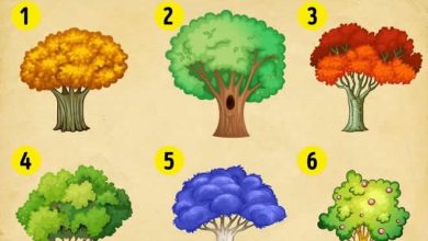 9 árvores, escolha uma e descubra as mudanças que você precisa fazer no ano novo 4