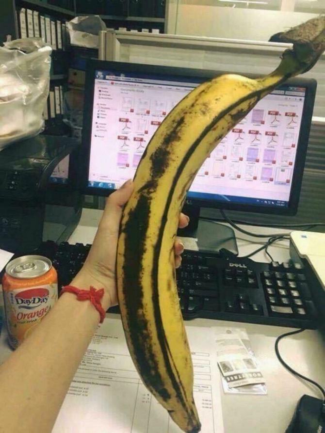 sorte - exemplos de pessoas que tiveram seu melhor dia sorte 17 - 23 exemplos de pessoas que tiveram o melhor dia da sua vida - foto sorte - exemplos de pessoas que tiveram seu melhor dia sorte 17 - 23 exemplos de pessoas que tiveram o melhor dia da sua vida