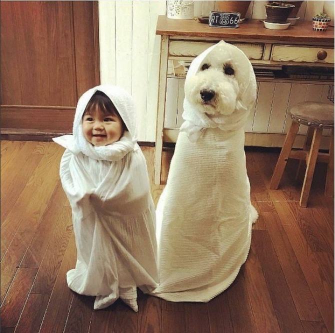 22 fotos que vão trazer um sorriso para o seu rosto mesmo se você estiver tendo um dia ruim - fotos que trazer sorriso rosto dia 12 22 fotos que vão trazer um sorriso para o seu rosto mesmo se você estiver tendo um dia ruim - fotos que trazer sorriso rosto dia 12