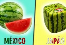 5 diferenças entre México e Japão 49