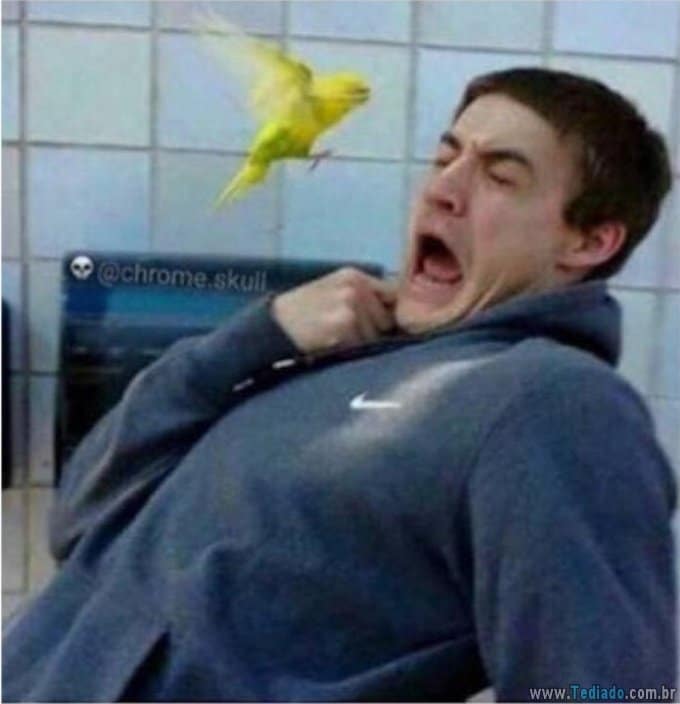 27 pessoas que redescobriram o que significa azarado - pessoas que redescobriram o que significa azarado 03 27 pessoas que redescobriram o que significa azarado - pessoas que redescobriram o que significa azarado 03