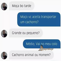 Pedido para transportar animal no Uber T-Links #346 – Links da semana - tlink 01 1 Pedido para transportar animal no Uber T-Links #346 – Links da semana - tlink 01 1