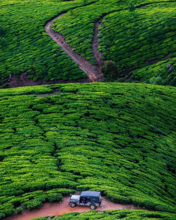 O verde hipnotizante das plantações de chá de Kolukkumalai, Índia