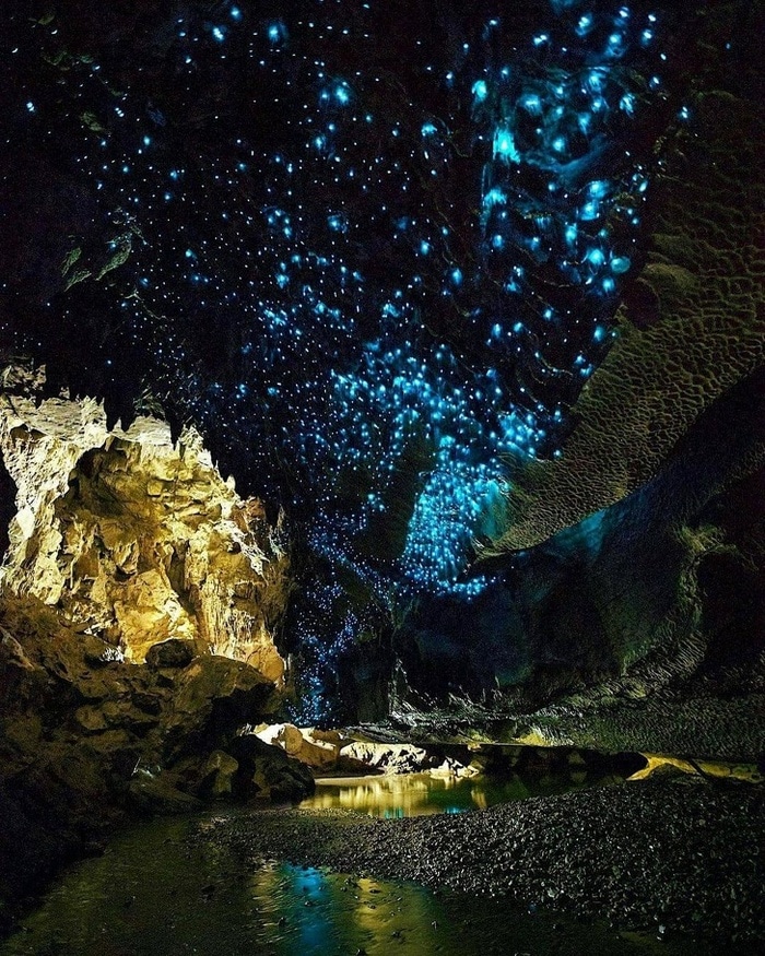 Cavernas de Waitomo Glowworm, Nova Zelândia. O teto desta caverna parece um céu cheio de estrelas!