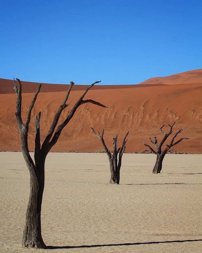 O deserto perfeito de Vlei Morto, Namíbia.