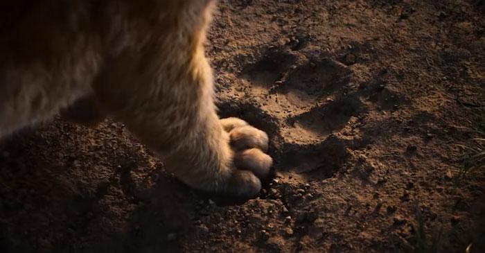 Alguém comparou o Rei leão de 1994 a animação com o filme 2019 6