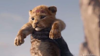 Alguém comparou o Rei leão de 1994 a animação com o filme 2019 24