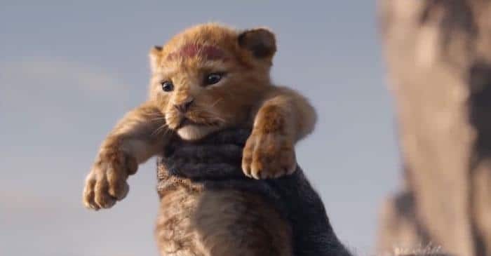 Alguém comparou o Rei leão de 1994 a animação com o filme 2019 14
