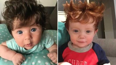 17 fotos de bebês cabeludos e enlouquecem a Internet 16