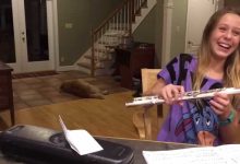 Garota tenta tocar flauta, mas o cachorro faz a internet morrer de rir 13