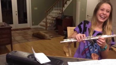 Garota tenta tocar flauta, mas o cachorro faz a internet morrer de rir 2