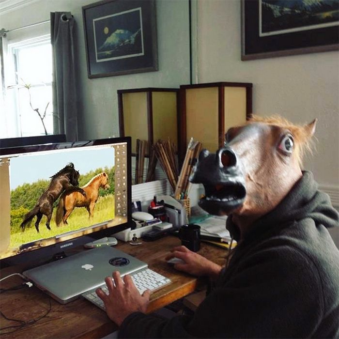 As pessoas ao redor do mundo curtindo a vida em máscaras de cavalo 12