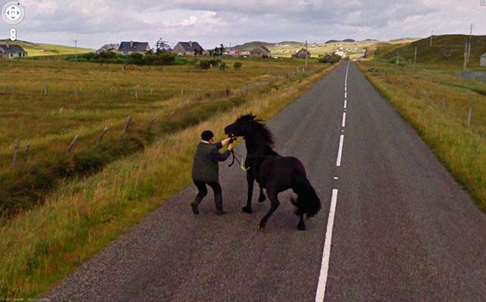 37 melhores fotos de animais tiradas acidentalmente pelo Google Street View 13