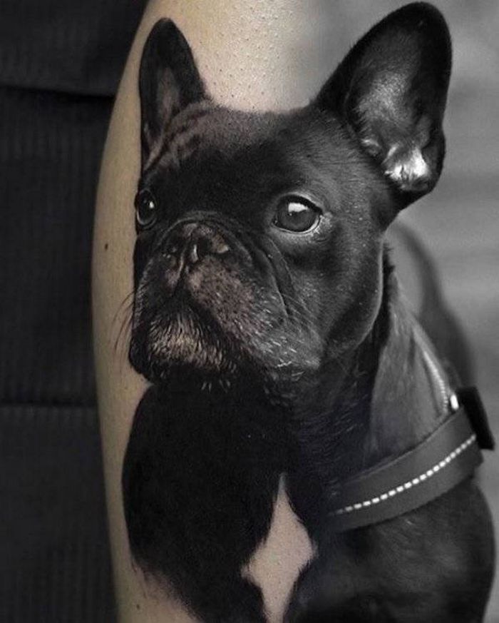 Tatuagens hiper-realistas são as melhores tatuagens! (34 fotos) 25