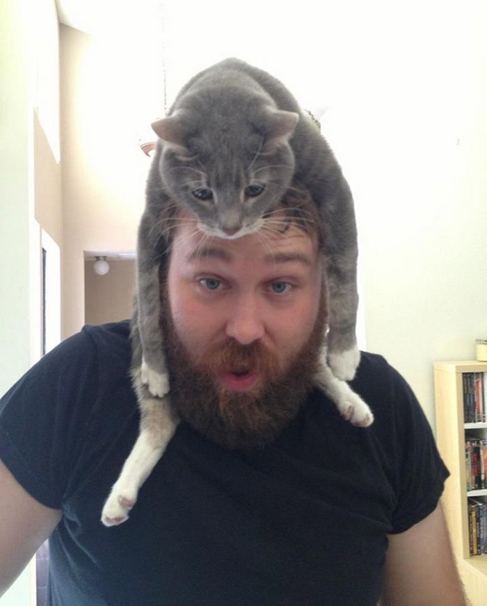Tendência de moda mais recente: Gatos como chapéus (21 fotos) 7