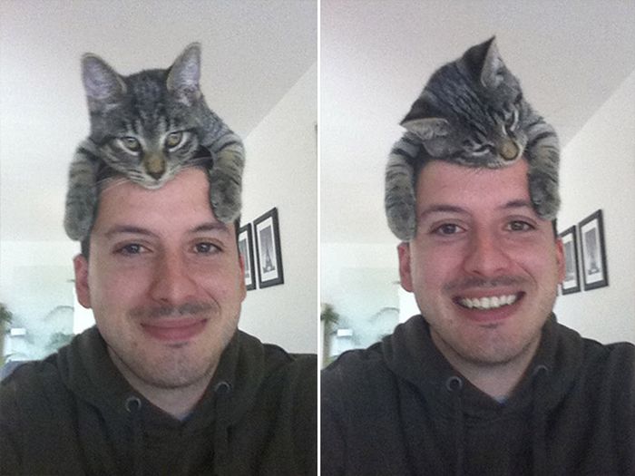 Tendência de moda mais recente: Gatos como chapéus (21 fotos) 13