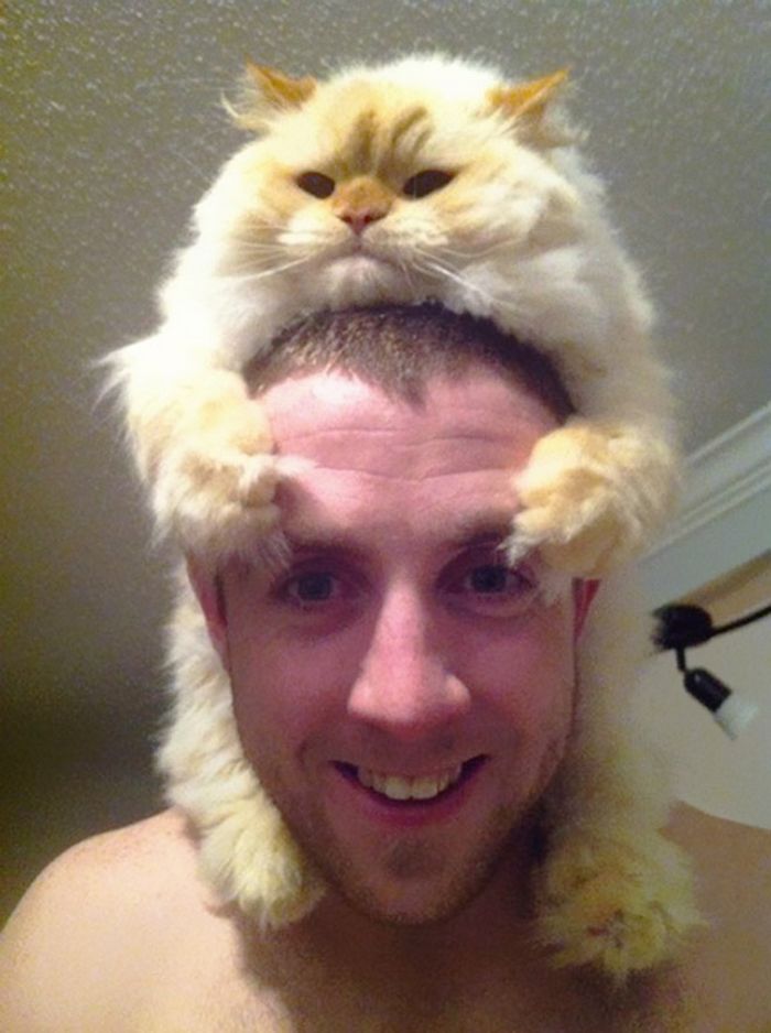 Tendência de moda mais recente: Gatos como chapéus (21 fotos) 18