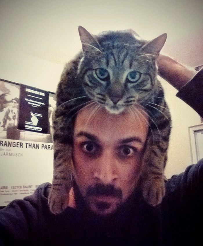 Tendência de moda mais recente: Gatos como chapéus (21 fotos) 19