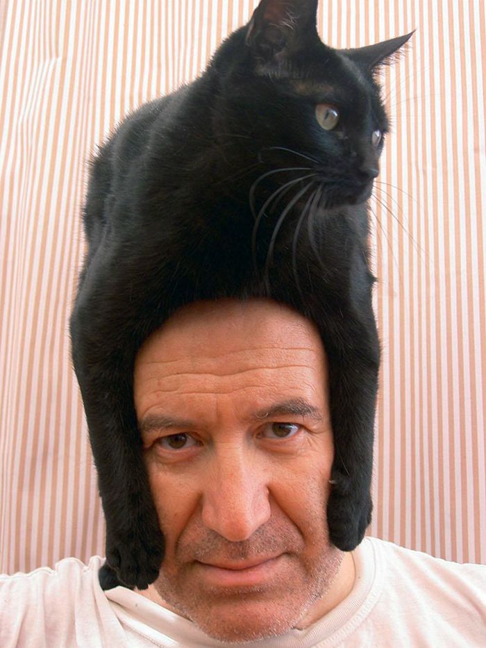 Tendência de moda mais recente: Gatos como chapéus (21 fotos) 21