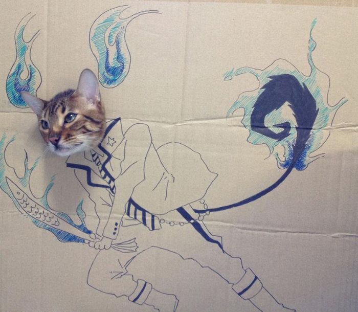 Brincadeira na internet dá aos gatos corpo fictício desenhado em papelão (20 fotos) 7