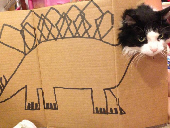 Brincadeira na internet dá aos gatos corpo fictício desenhado em papelão (20 fotos) 9