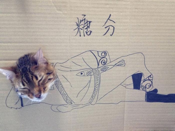 Brincadeira na internet dá aos gatos corpo fictício desenhado em papelão (20 fotos) 10