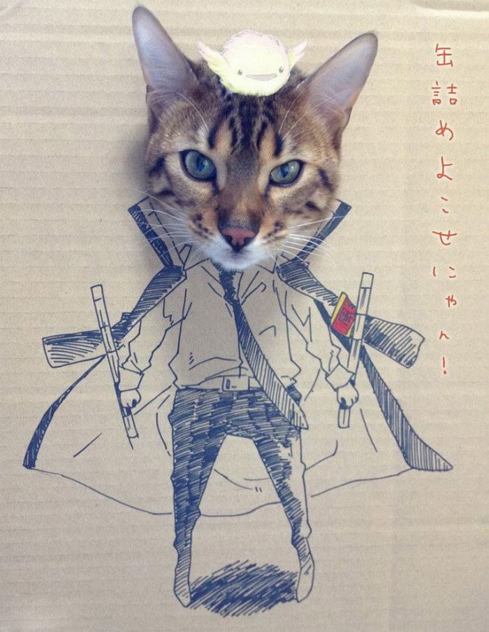Brincadeira na internet dá aos gatos corpo fictício desenhado em papelão (20 fotos) 12