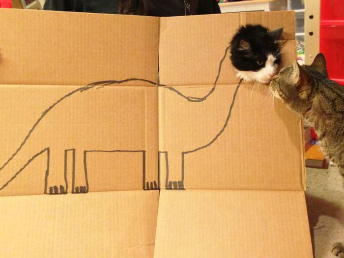 Brincadeira na internet dá aos gatos corpo fictício desenhado em papelão (20 fotos) 13